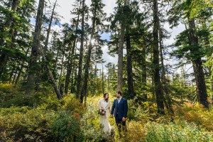 Sea to Sky Gondola Wedding Photography