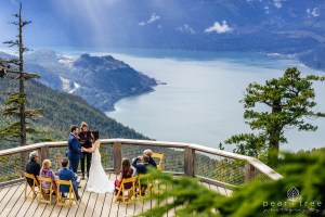Sea to Sky Gondola Wedding Photography