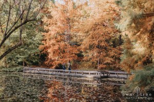VanDusen Botanical Garden - Fall Engagement