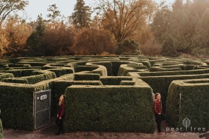 VanDusen Botanical Garden - Fall Engagement