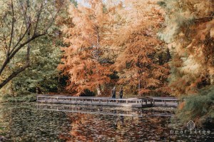 VanDusen Botanical Garden - Fall Engagement