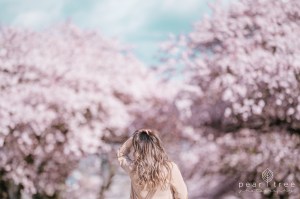 Cherry Blossom Sea to Sky Gondola Portraits Photoshoot