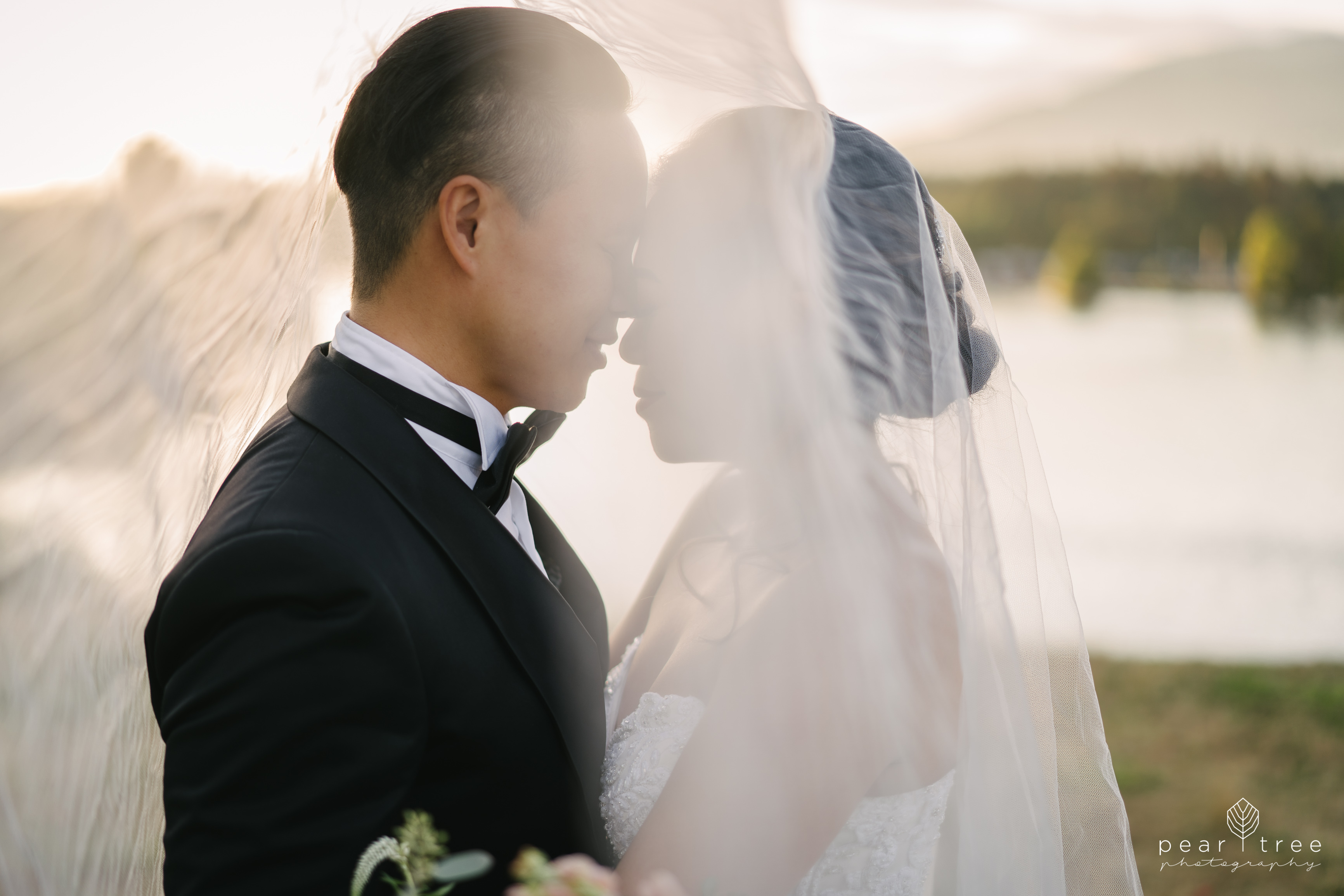 Vancouver Asian Wedding couple