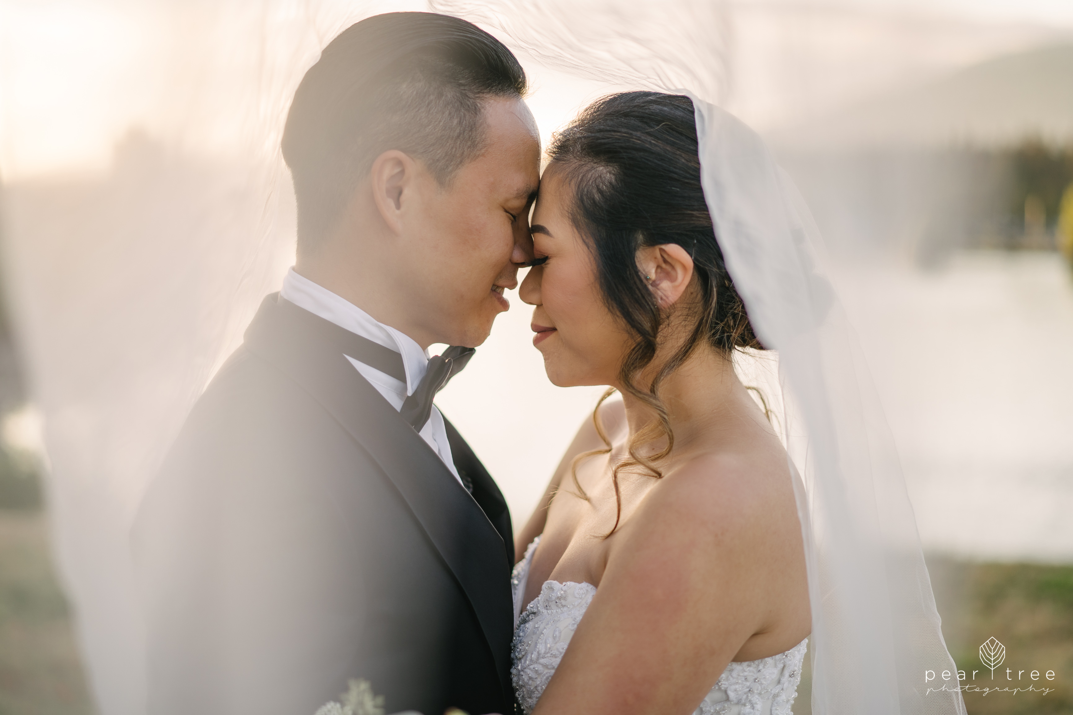 Vancouver Asian Wedding couple