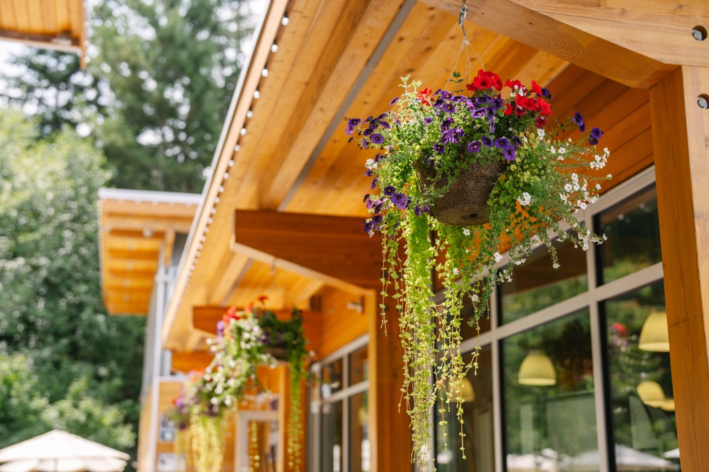 Sea to Sky Elopement