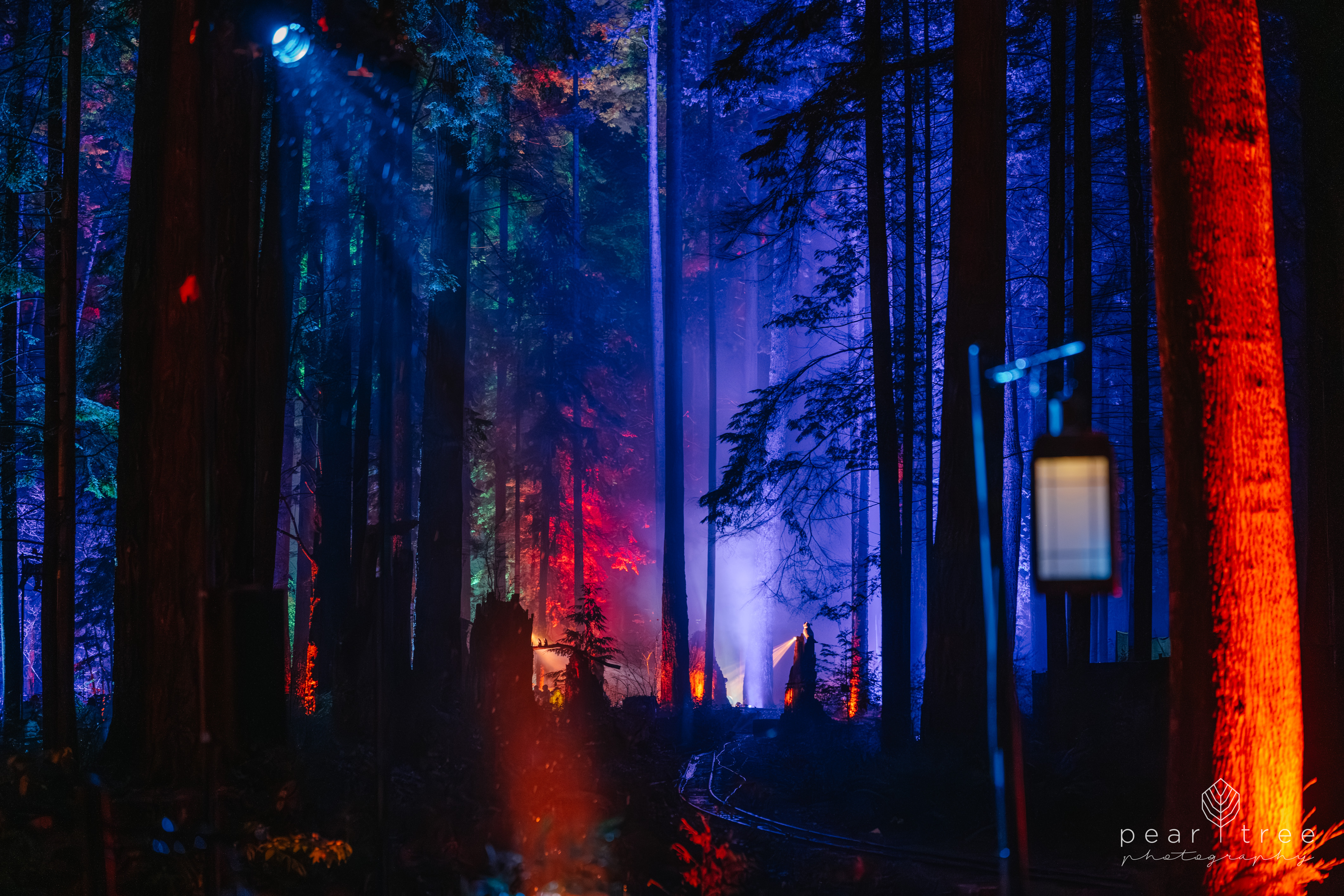 Harry Potter Experience Vancouver