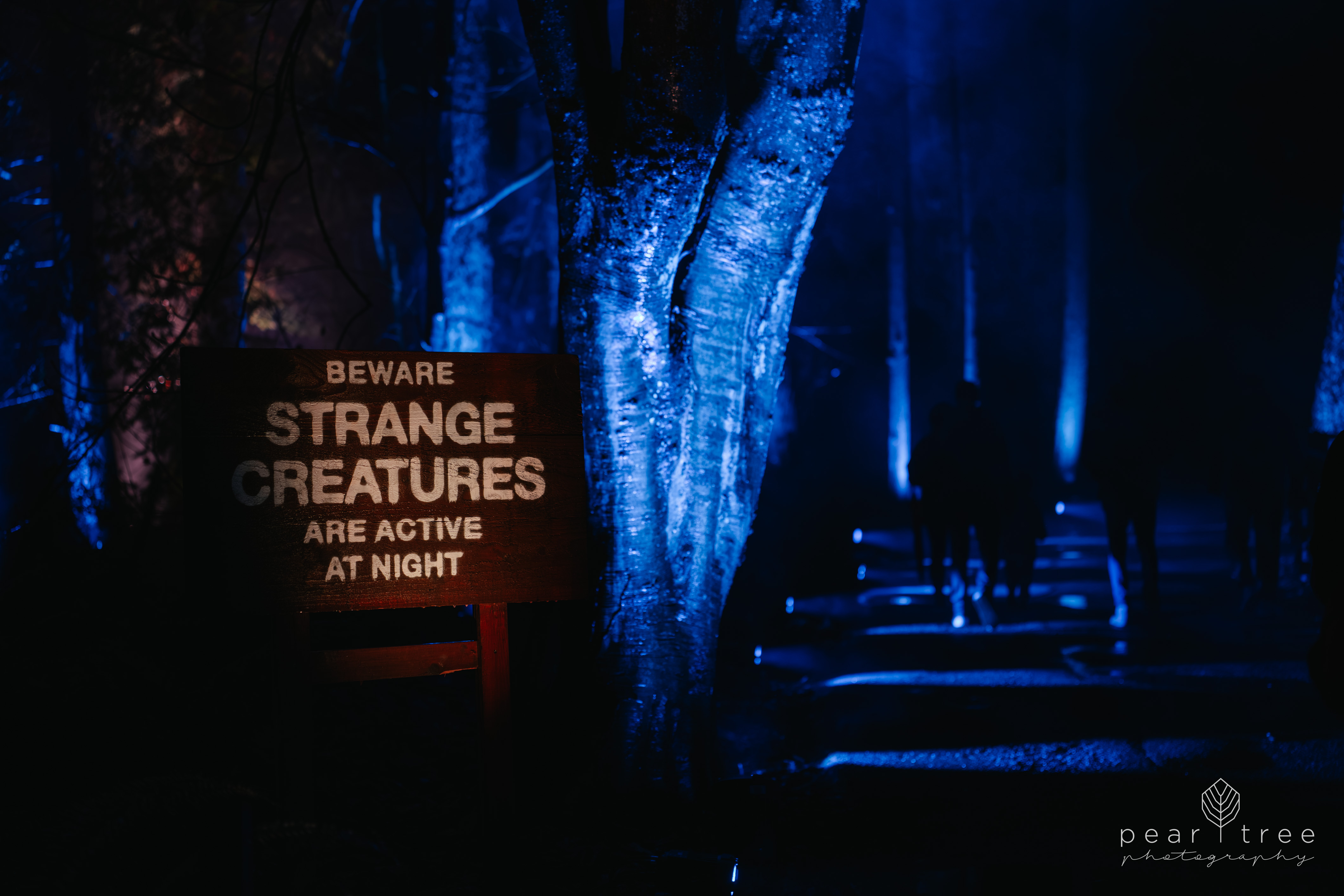 Harry Potter Experience Vancouver