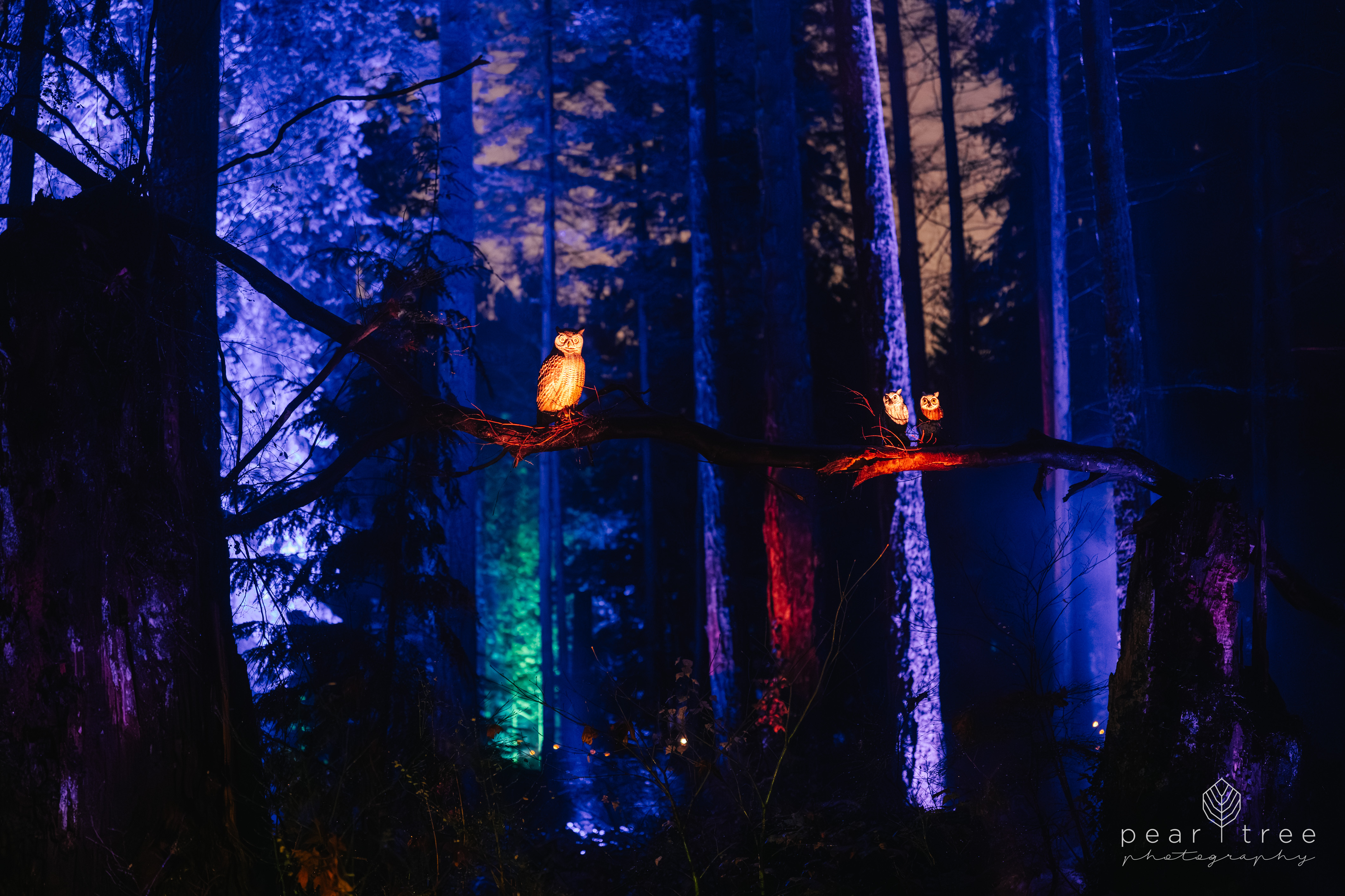 Harry Potter Experience Vancouver