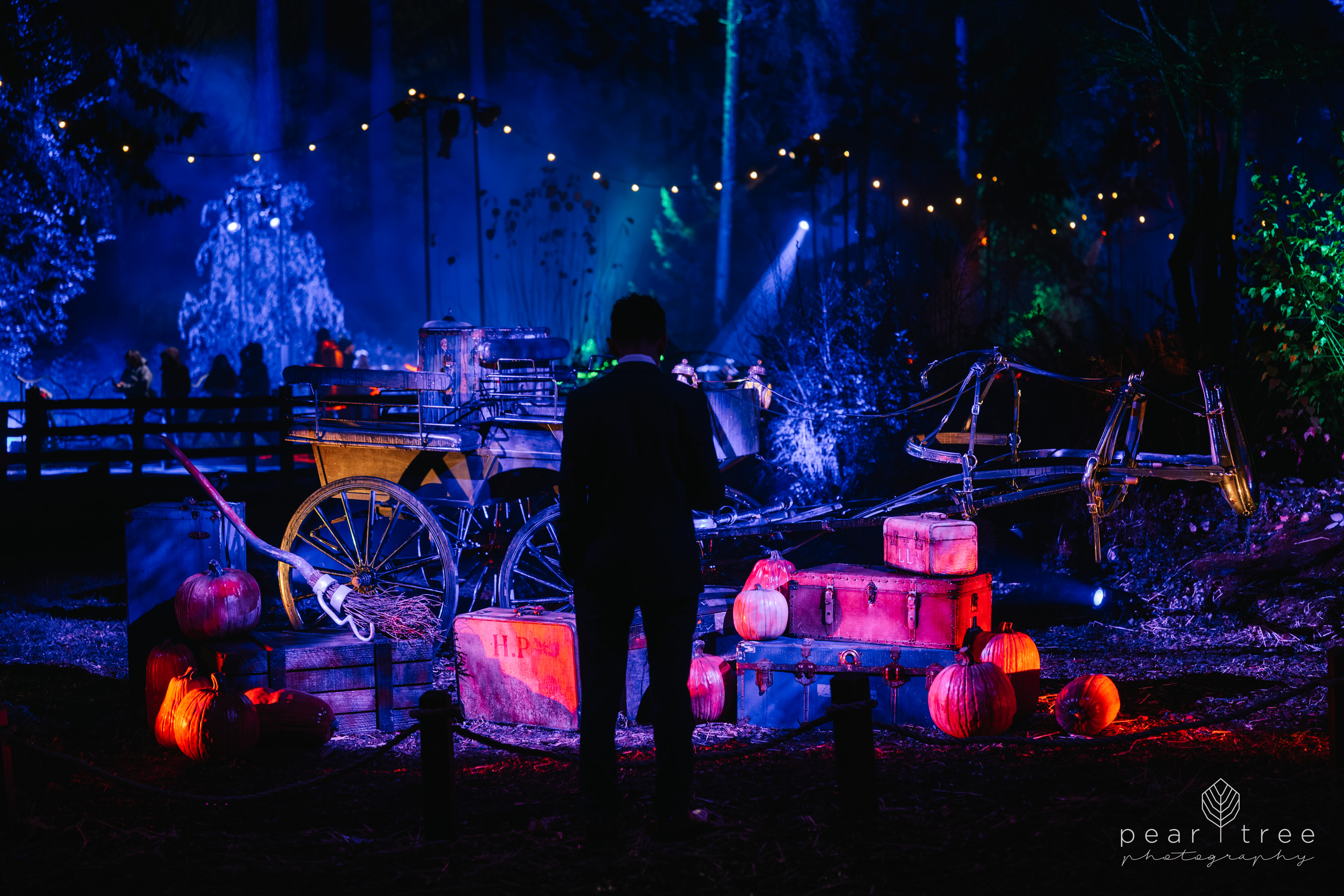 Harry Potter Experience Vancouver