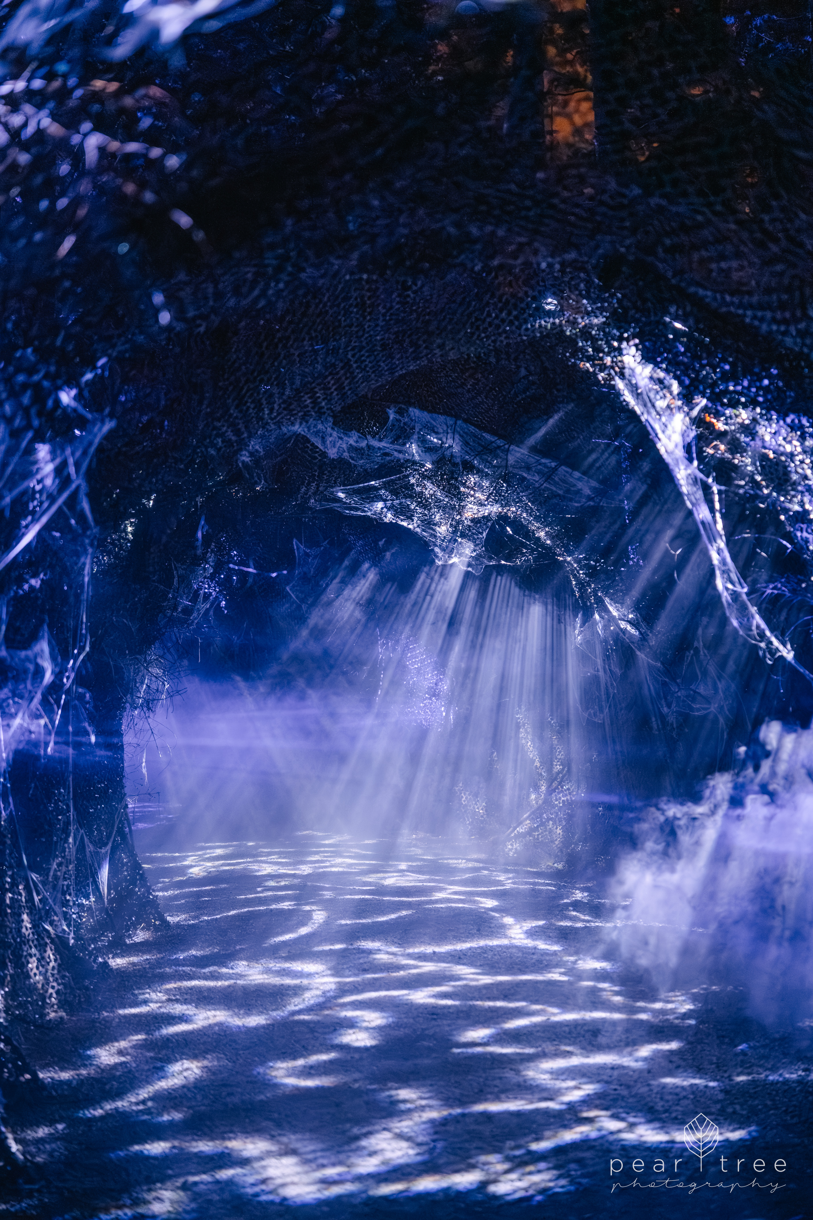 Harry Potter Experience Vancouver