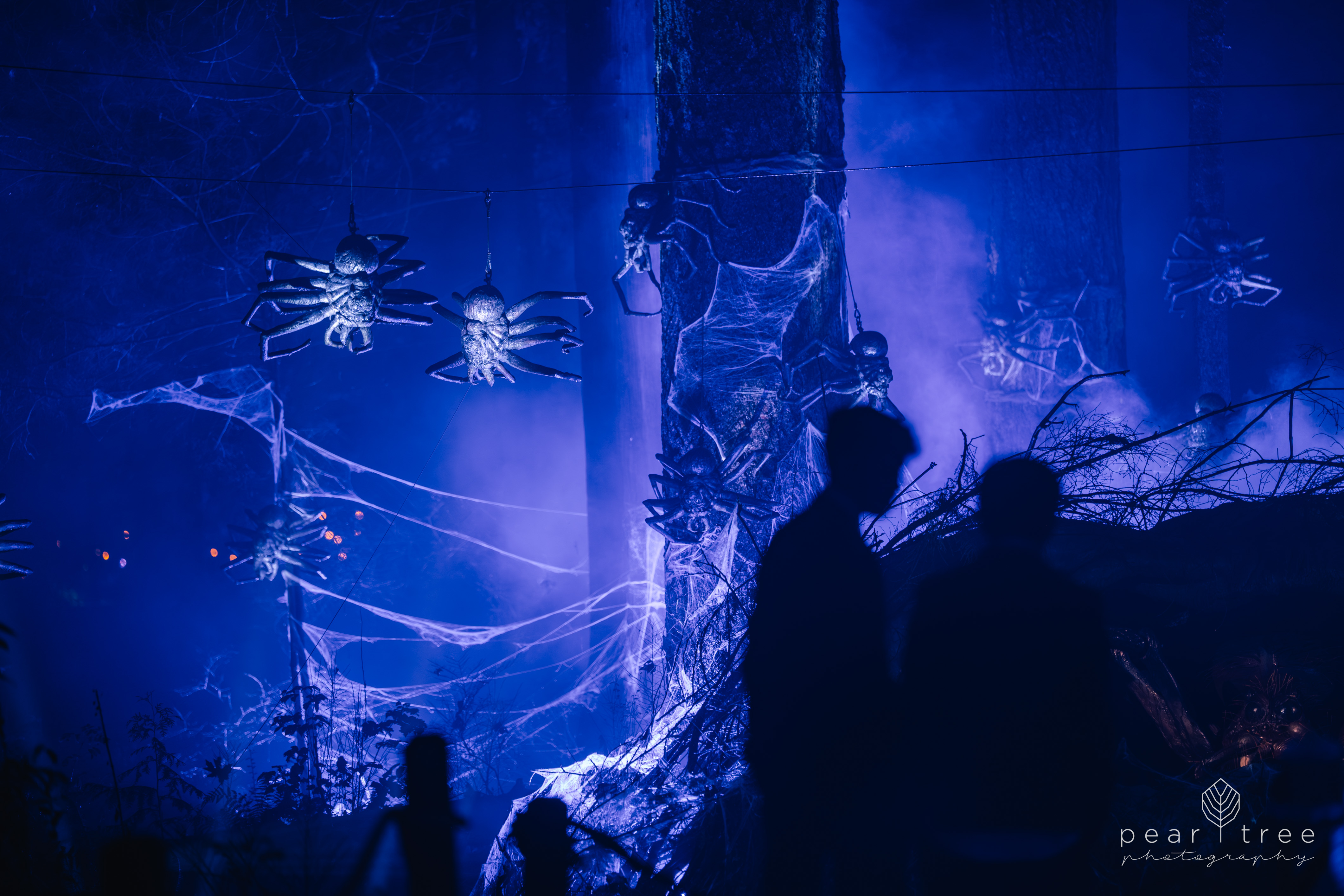 Harry Potter Experience Vancouver