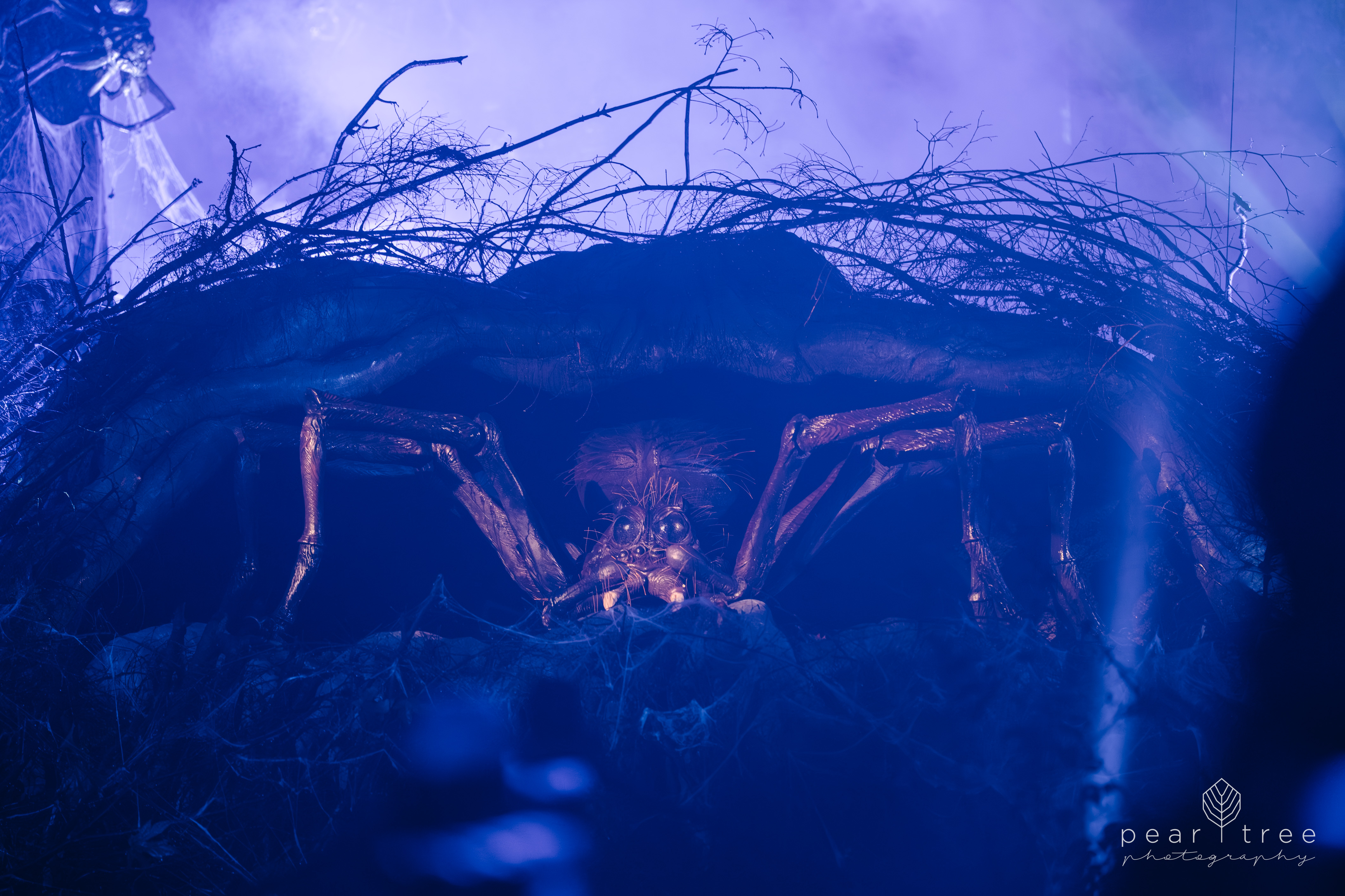 Harry Potter Experience Vancouver