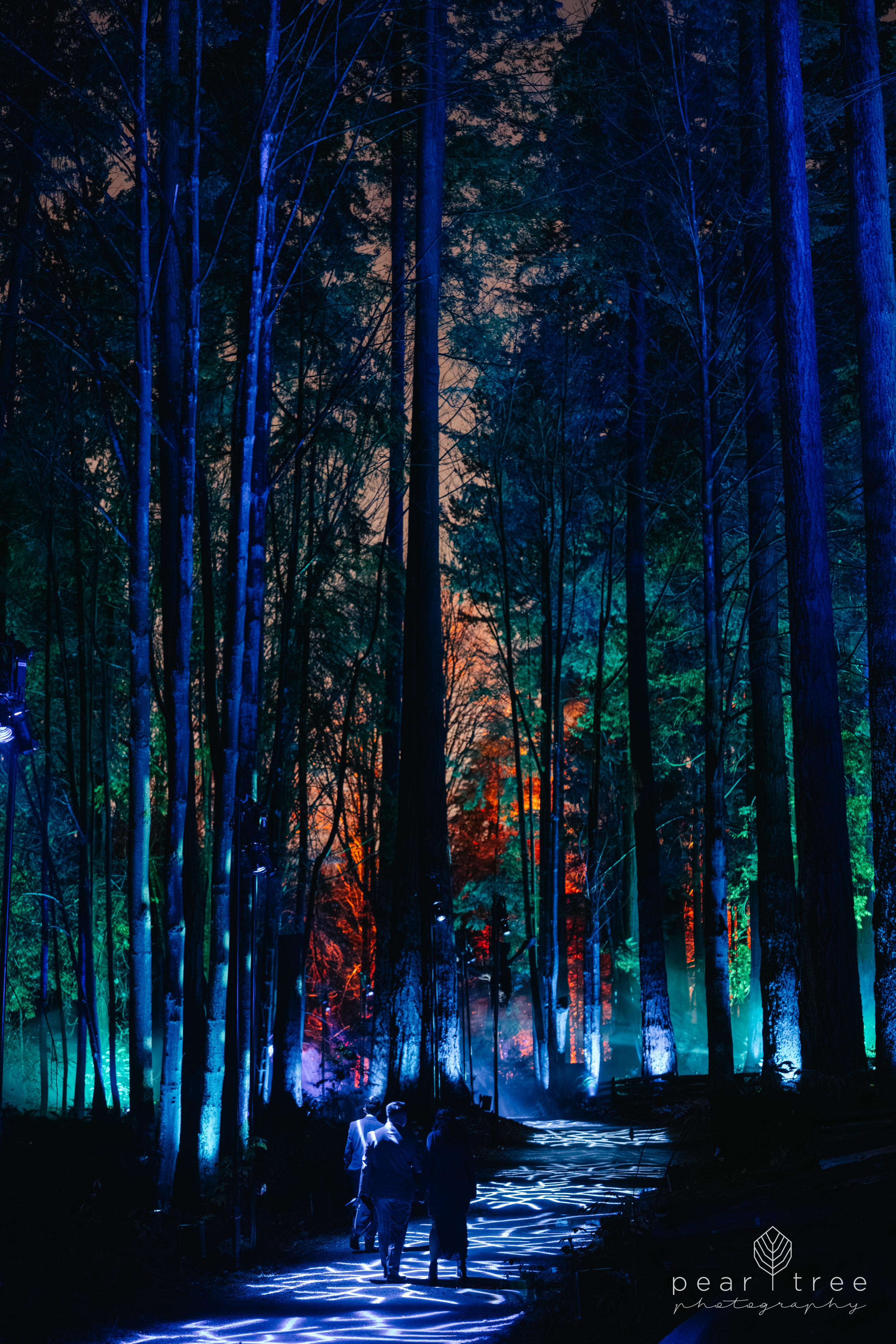 Harry Potter Experience Vancouver