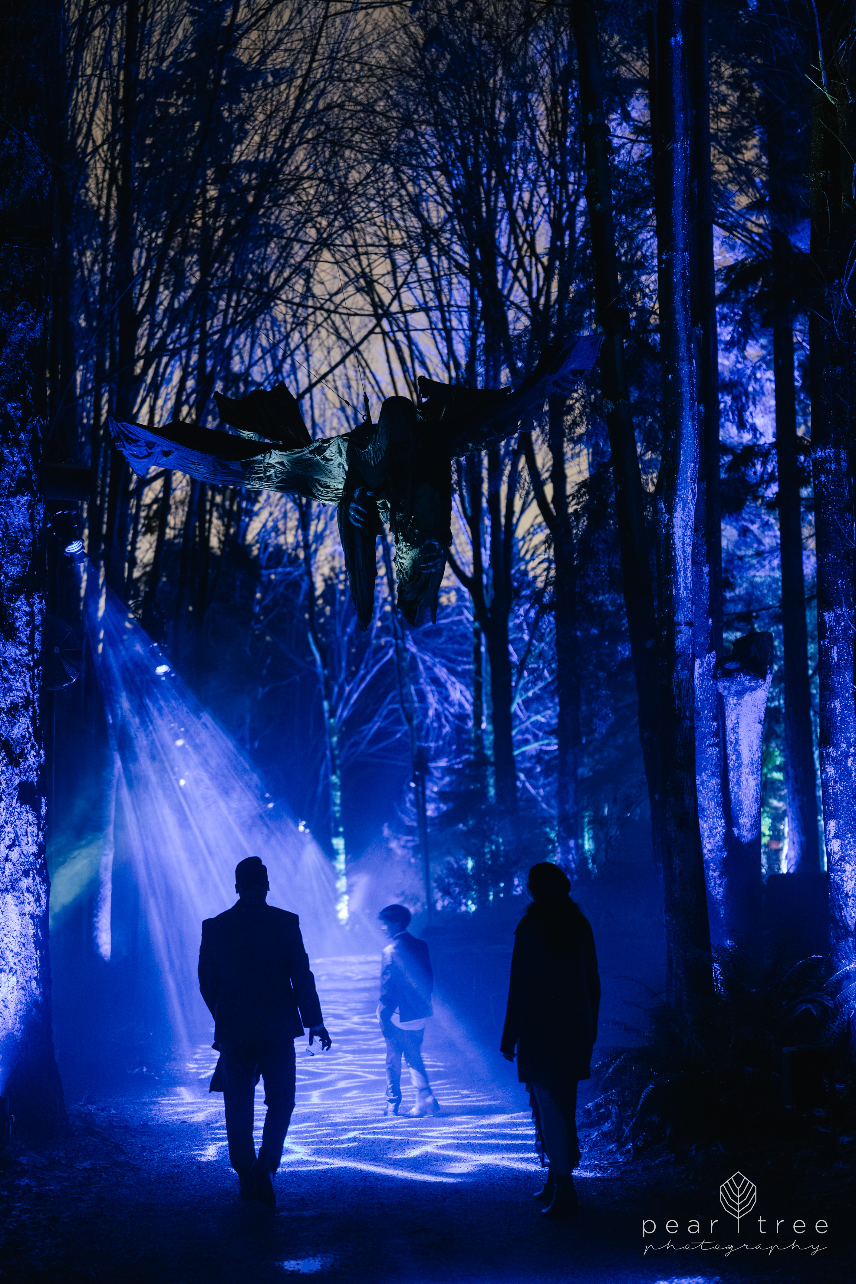 Harry Potter Experience Vancouver