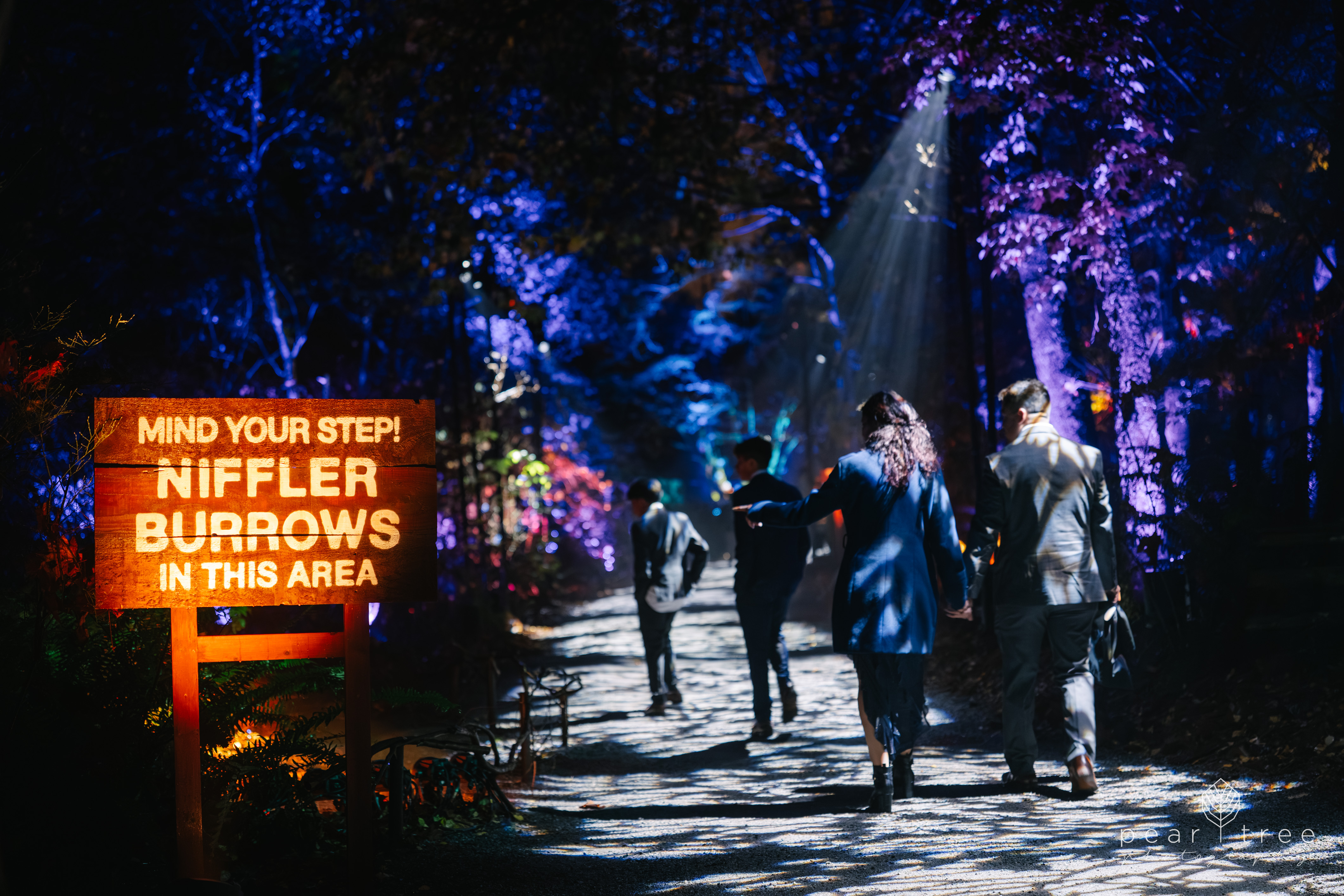 Harry Potter Experience Vancouver