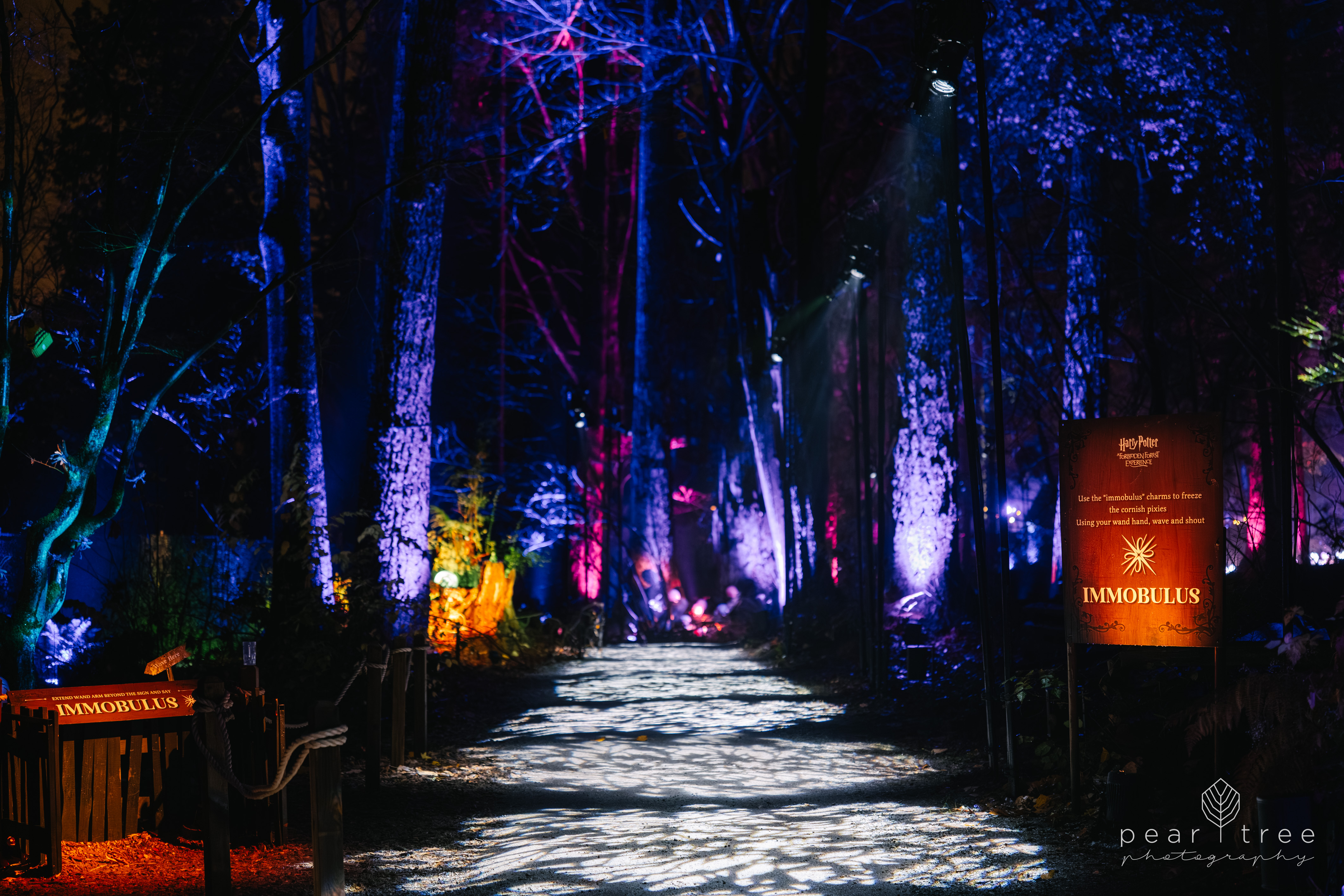 Harry Potter Experience Vancouver