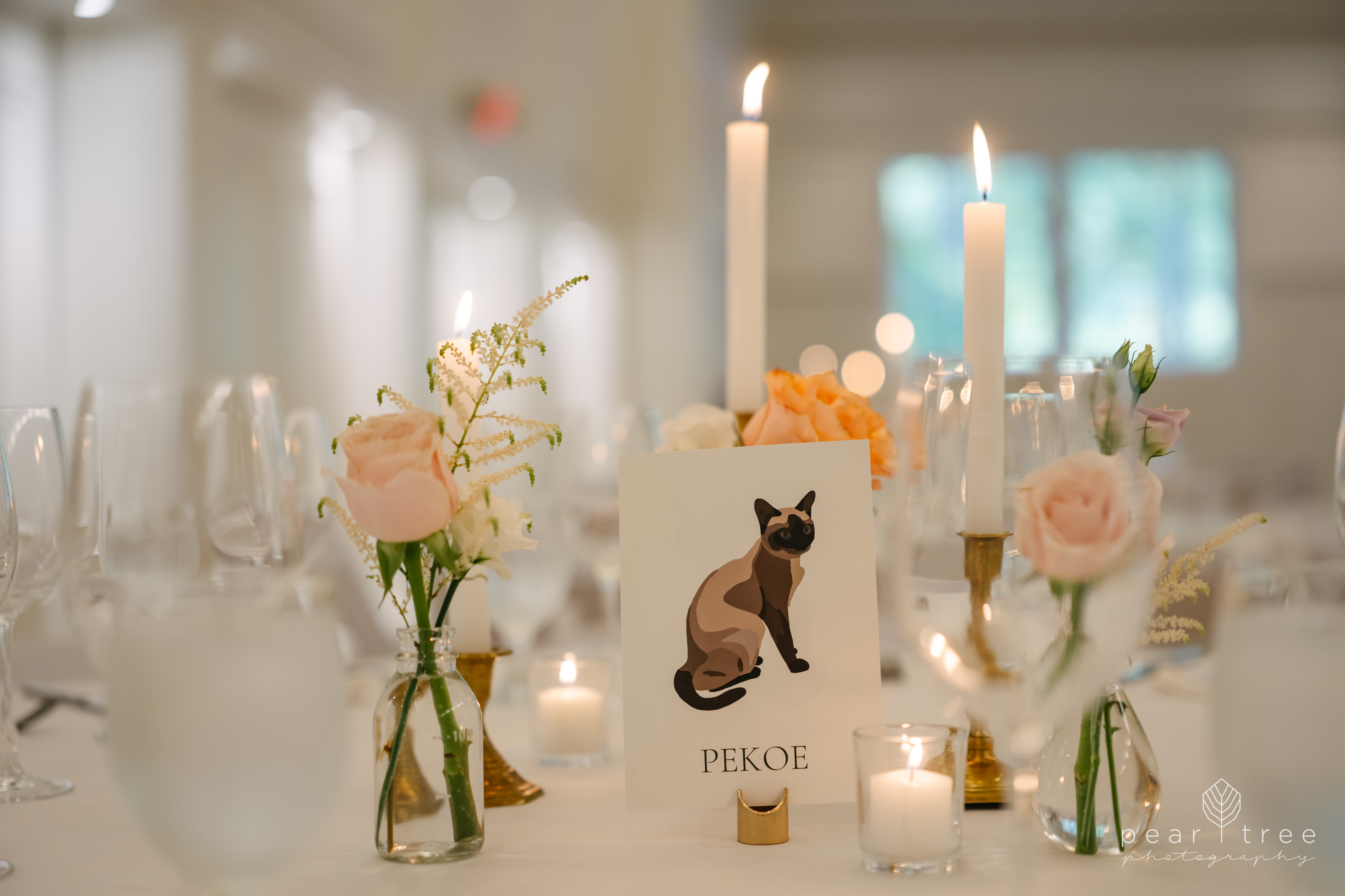 Stanley Park Pavilion Wedding